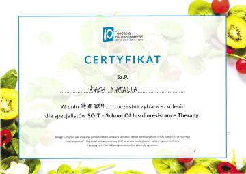 Certyfikat - Szkolenia dla specjalistów SOIT